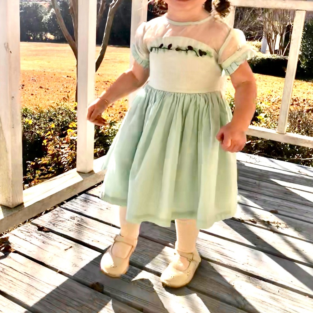 Well Dressed Wolf 2T Mint Acorn Dress